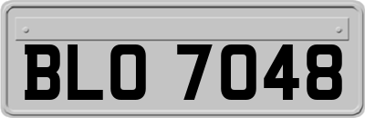 BLO7048