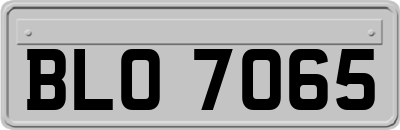 BLO7065