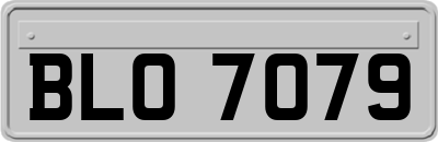 BLO7079