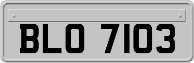 BLO7103