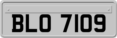 BLO7109