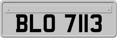 BLO7113