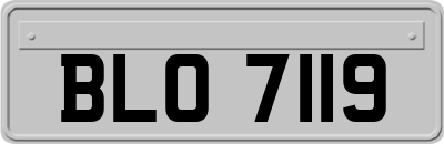 BLO7119