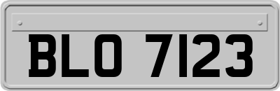 BLO7123
