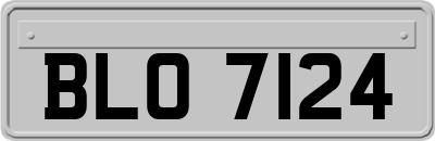 BLO7124