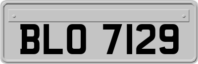 BLO7129
