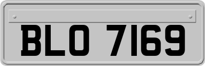 BLO7169