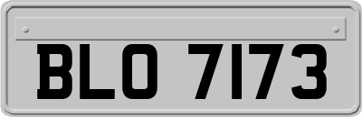 BLO7173