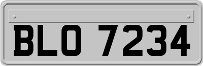 BLO7234