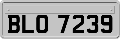 BLO7239