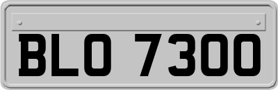 BLO7300