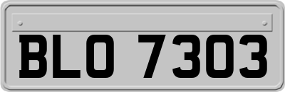 BLO7303