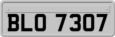 BLO7307