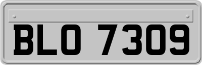 BLO7309