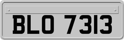 BLO7313