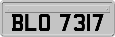 BLO7317