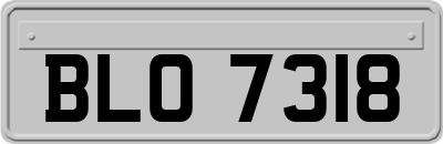 BLO7318