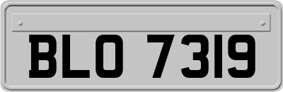 BLO7319