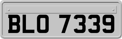 BLO7339