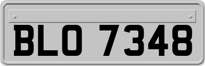 BLO7348
