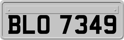 BLO7349