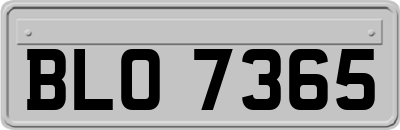 BLO7365