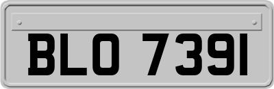 BLO7391