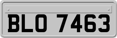 BLO7463