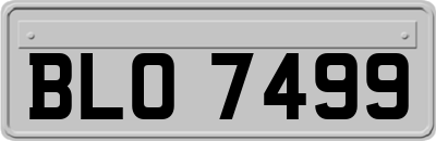 BLO7499