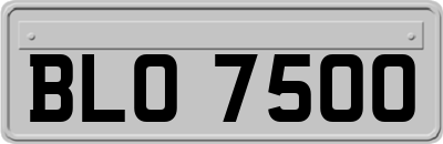 BLO7500