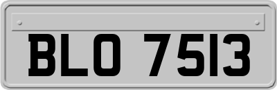 BLO7513