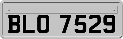 BLO7529