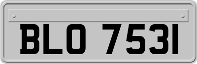 BLO7531