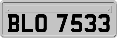 BLO7533