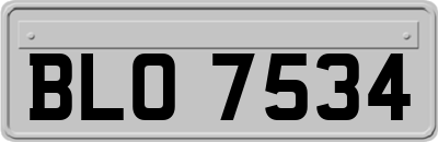 BLO7534