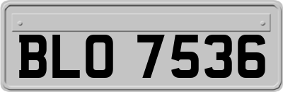 BLO7536