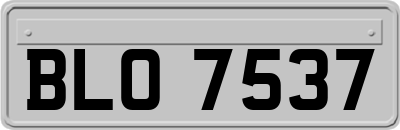 BLO7537