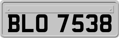 BLO7538