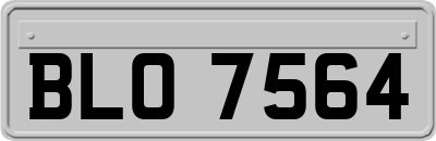 BLO7564