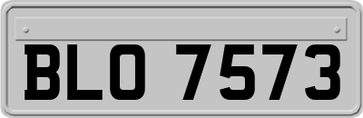 BLO7573