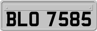 BLO7585