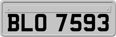 BLO7593