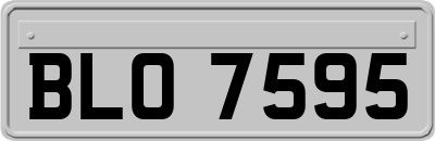BLO7595