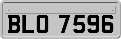 BLO7596