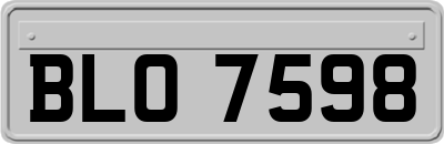 BLO7598
