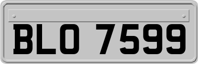 BLO7599