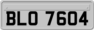 BLO7604