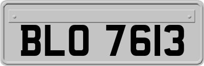 BLO7613