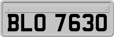BLO7630
