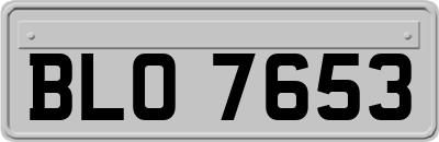 BLO7653